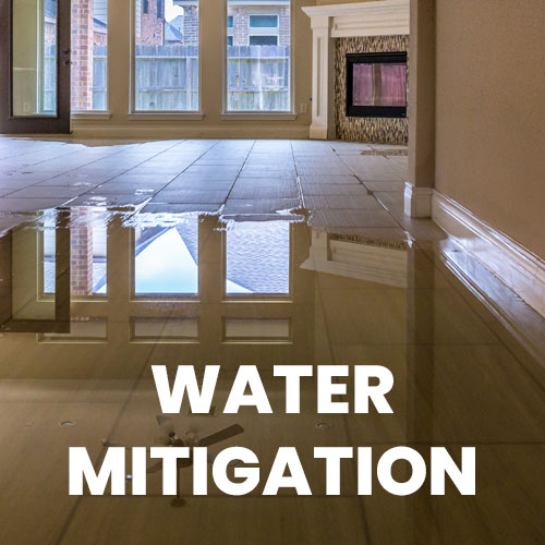 Water Damage & Mitigation